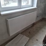 02/2021 Třeština u Mohelnice
